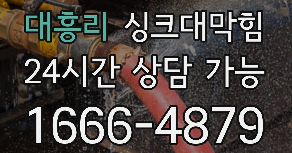 대흥리 싱크대 뚫기