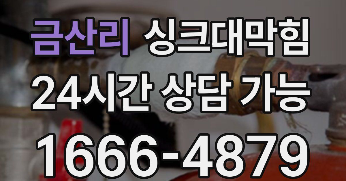 금산리 싱크대 뚫기