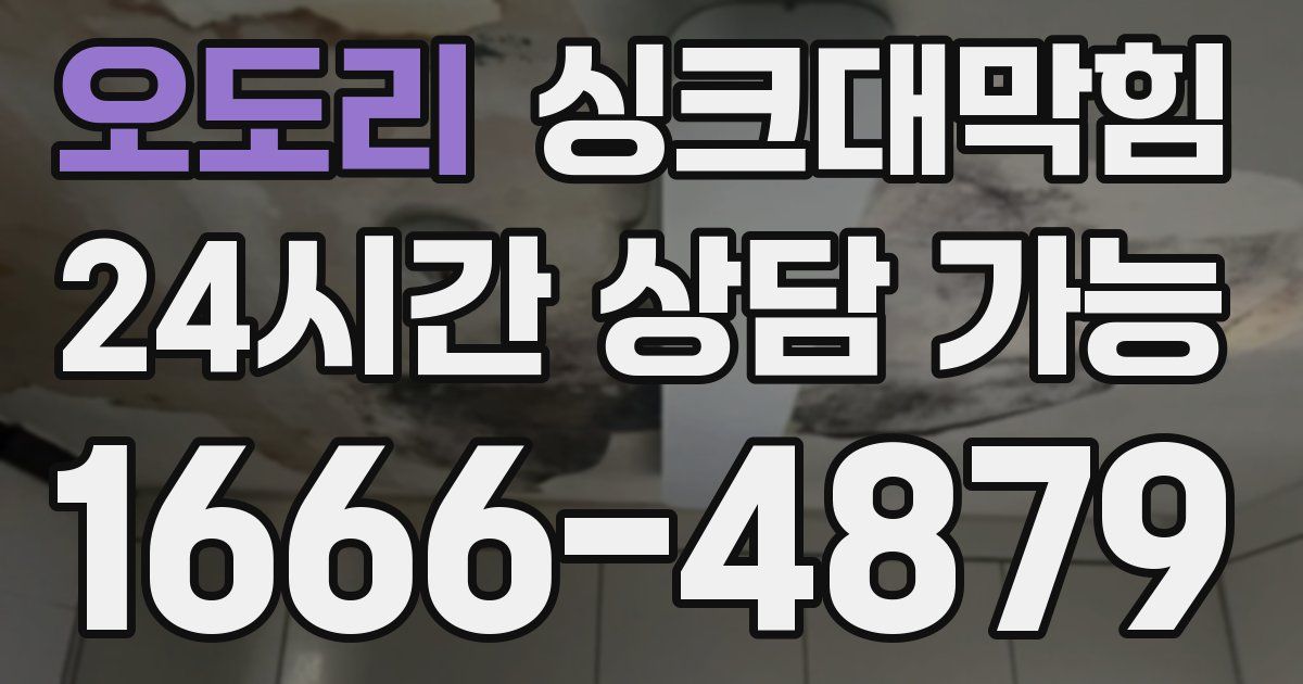 오도리 싱크대 뚫기