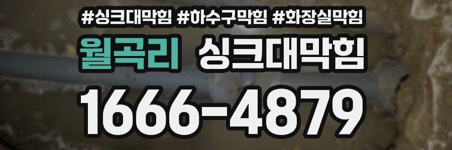 싱크대막힘