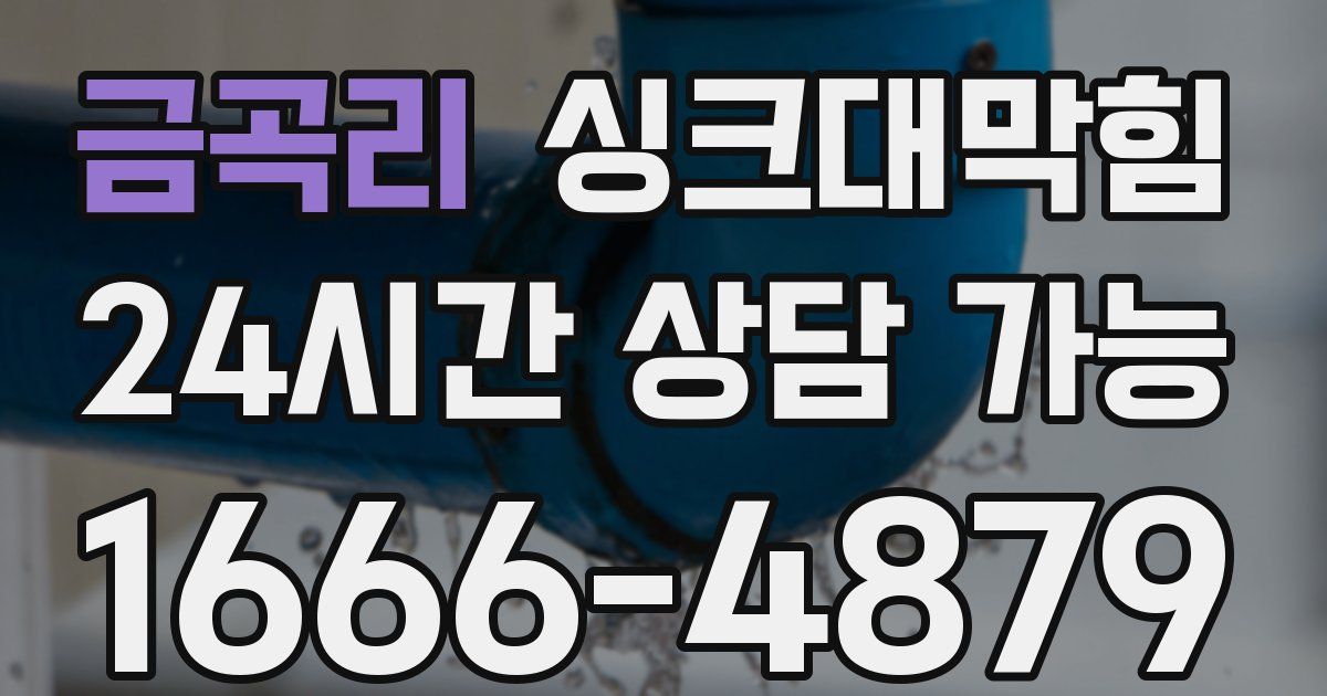 금곡리 싱크대 뚫기