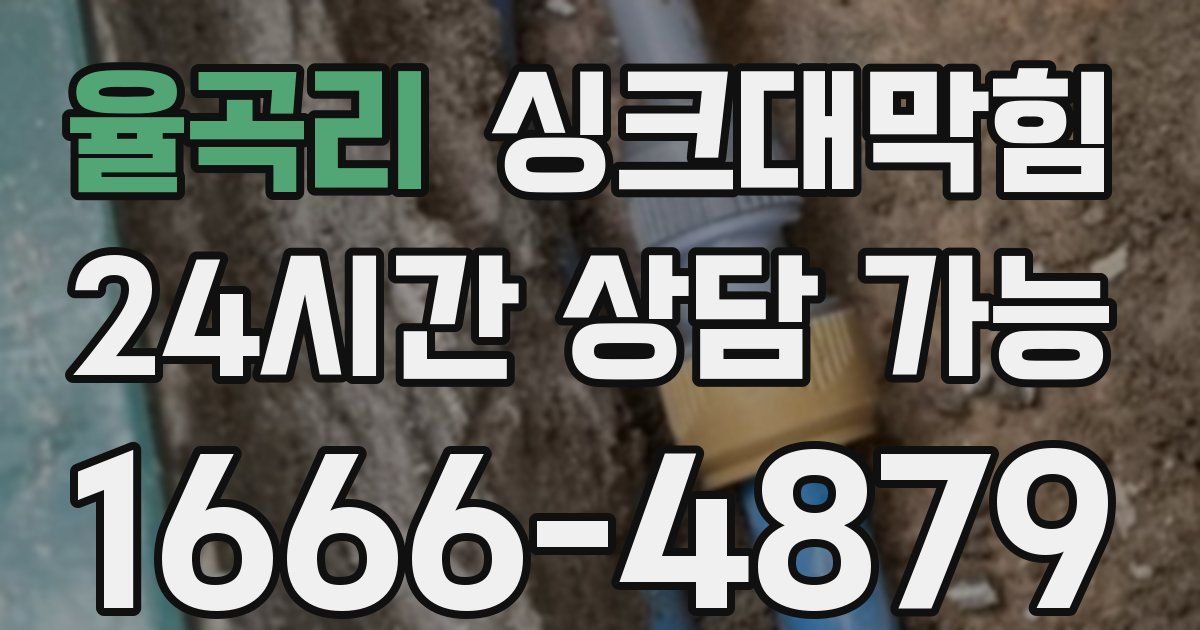율곡리 싱크대 뚫기