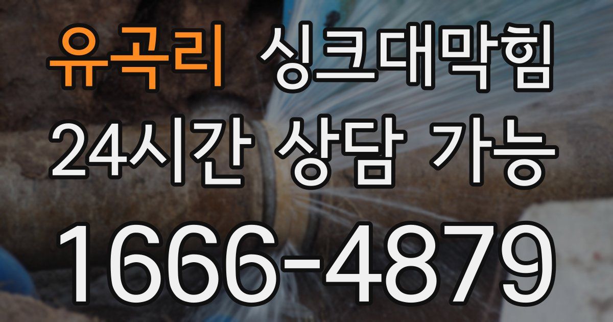 유곡리 싱크대 뚫기