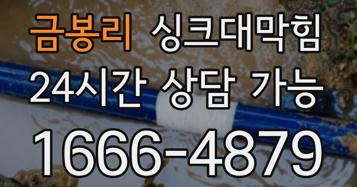 금봉리 싱크대 뚫기