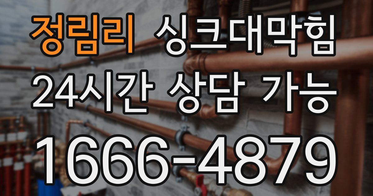 정림리 싱크대 뚫기