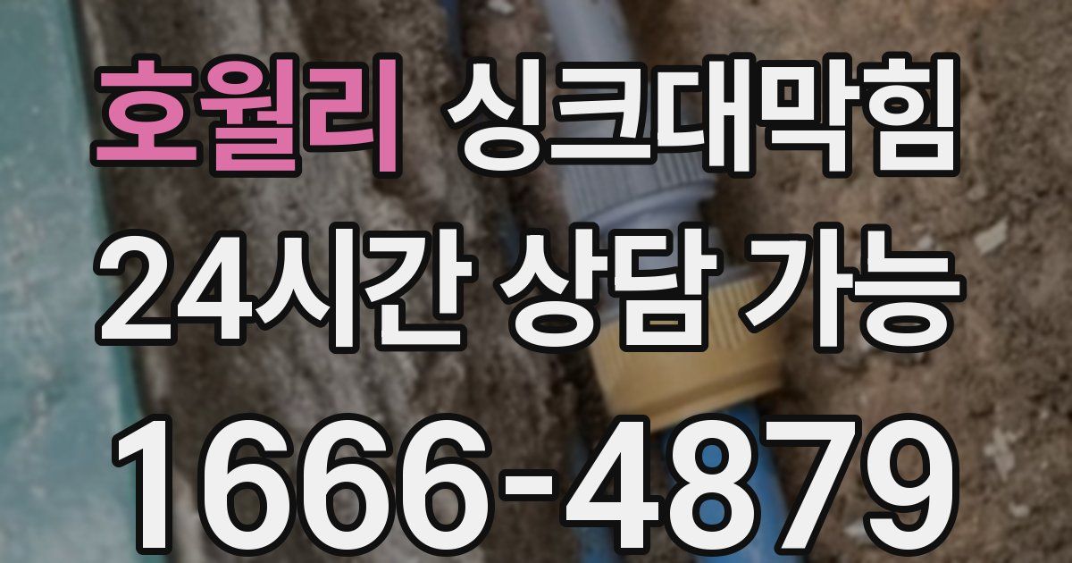 호월리 싱크대 뚫기