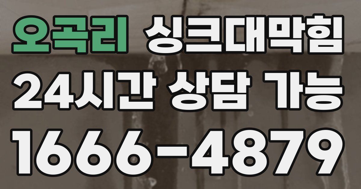 오곡리 싱크대 뚫기