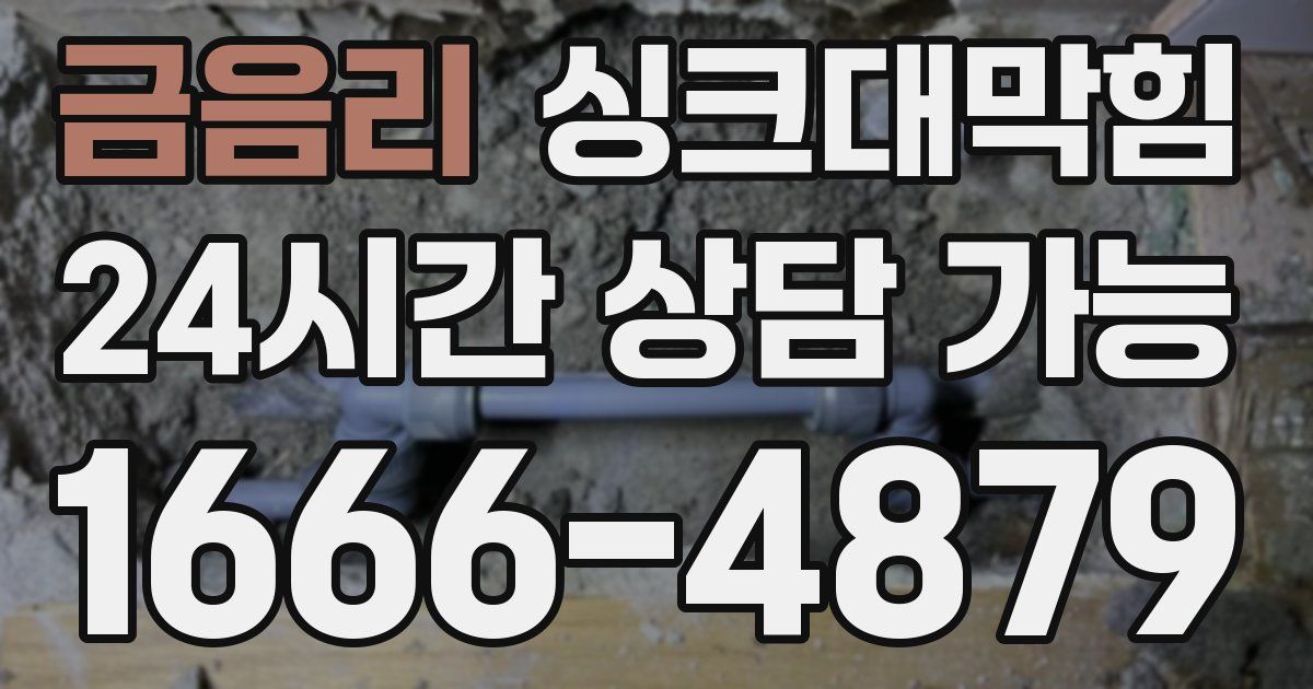 금음리 싱크대 뚫기