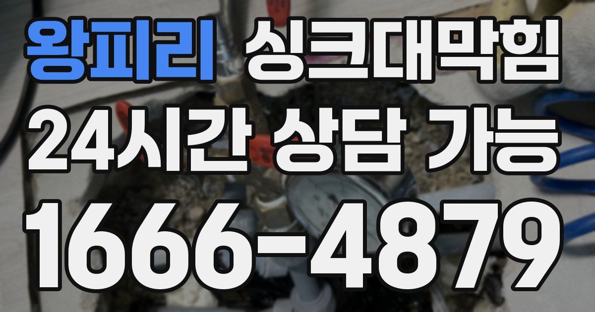 왕피리 싱크대 뚫기