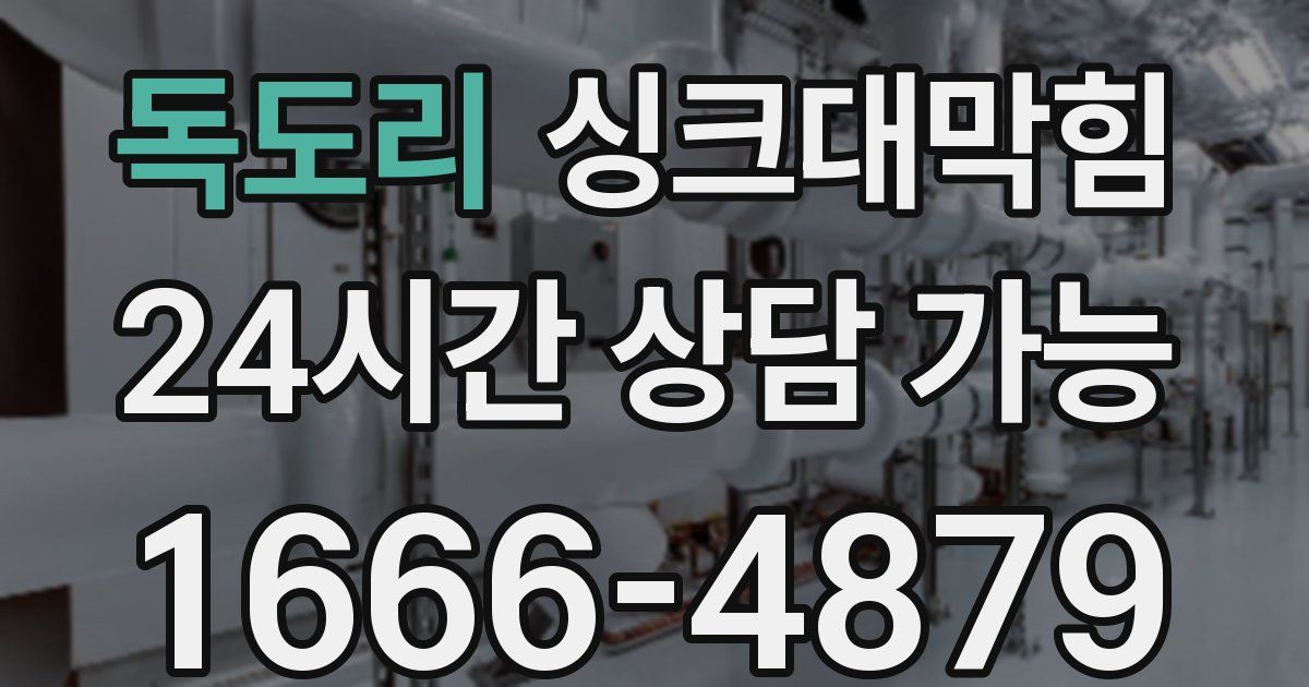 독도리 싱크대 뚫기