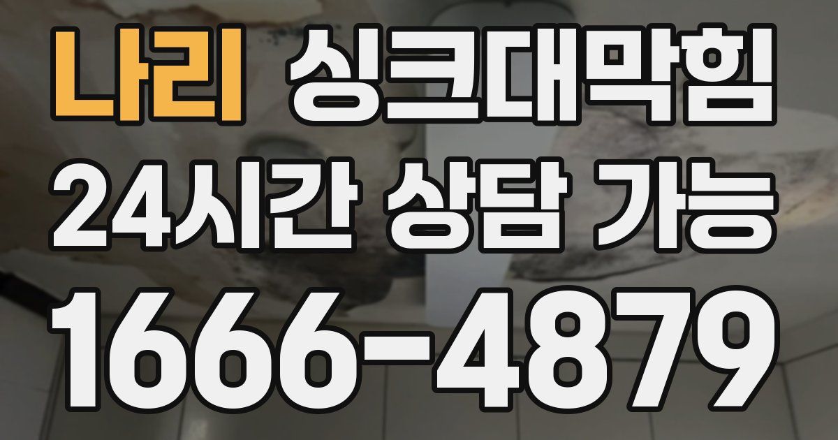 나리 싱크대 뚫기