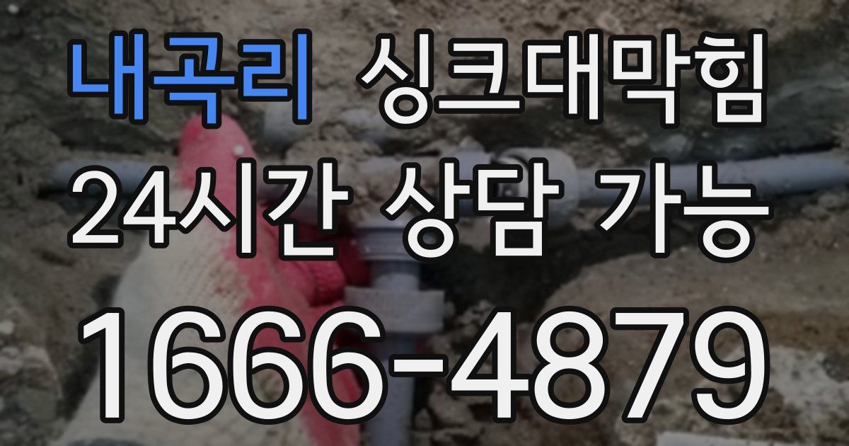내곡리 싱크대 뚫기
