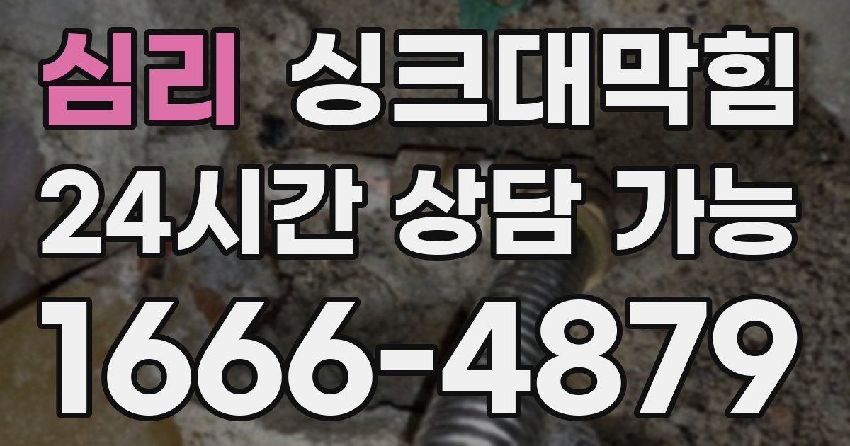 심리 싱크대 뚫기