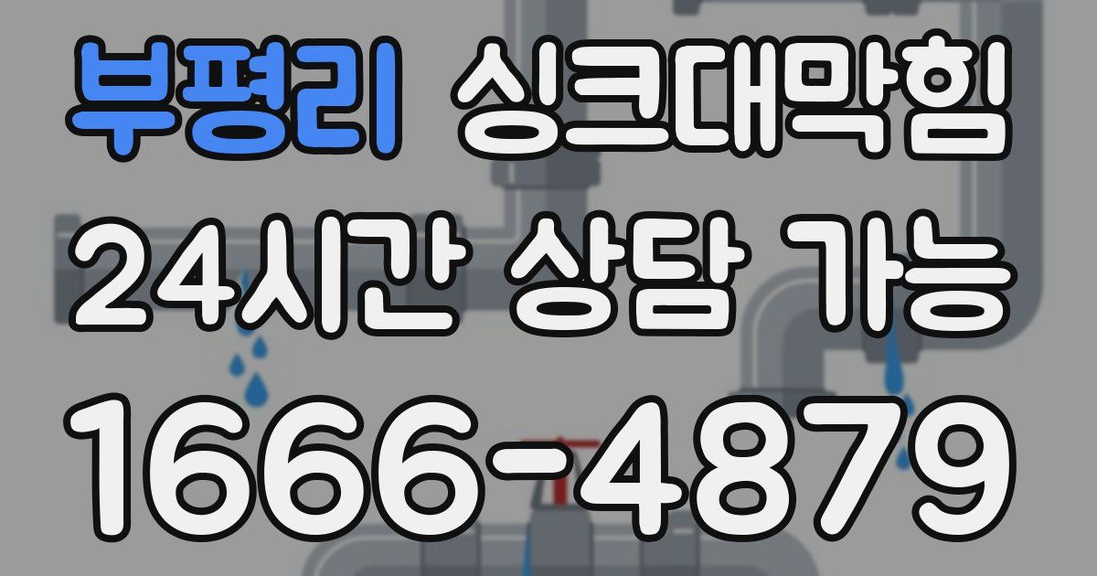 부평리 싱크대 뚫기