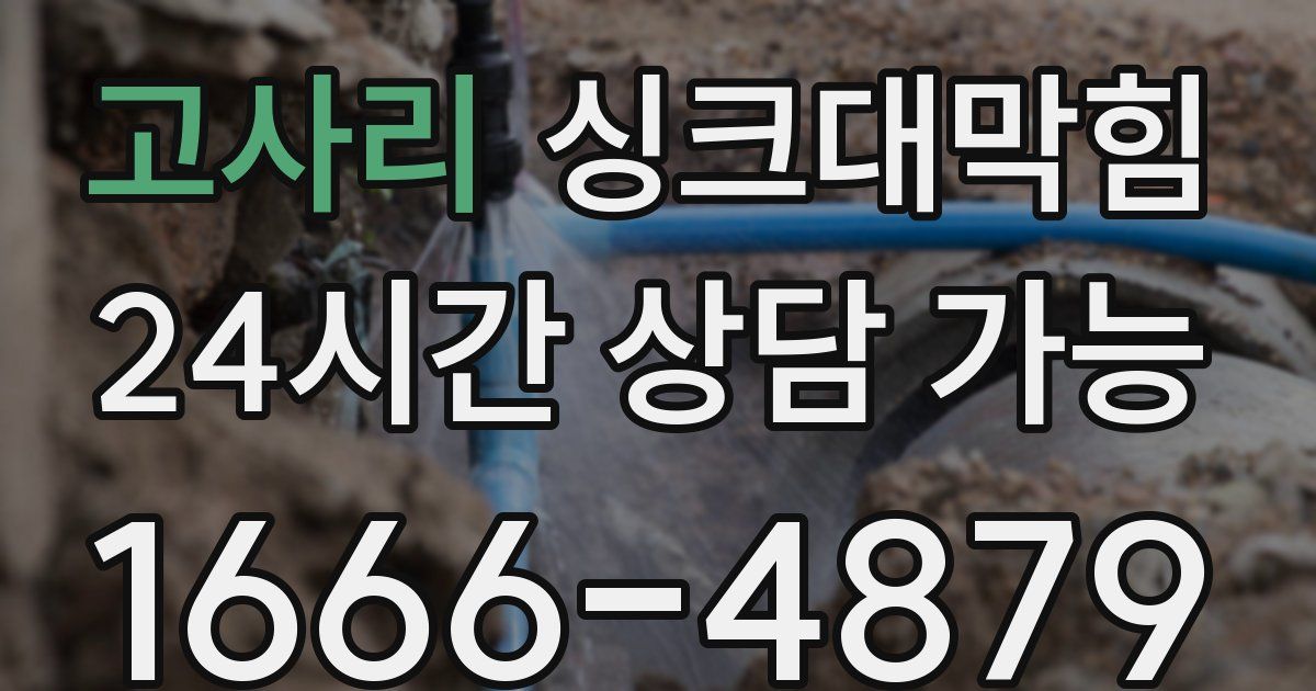 고사리 싱크대 뚫기