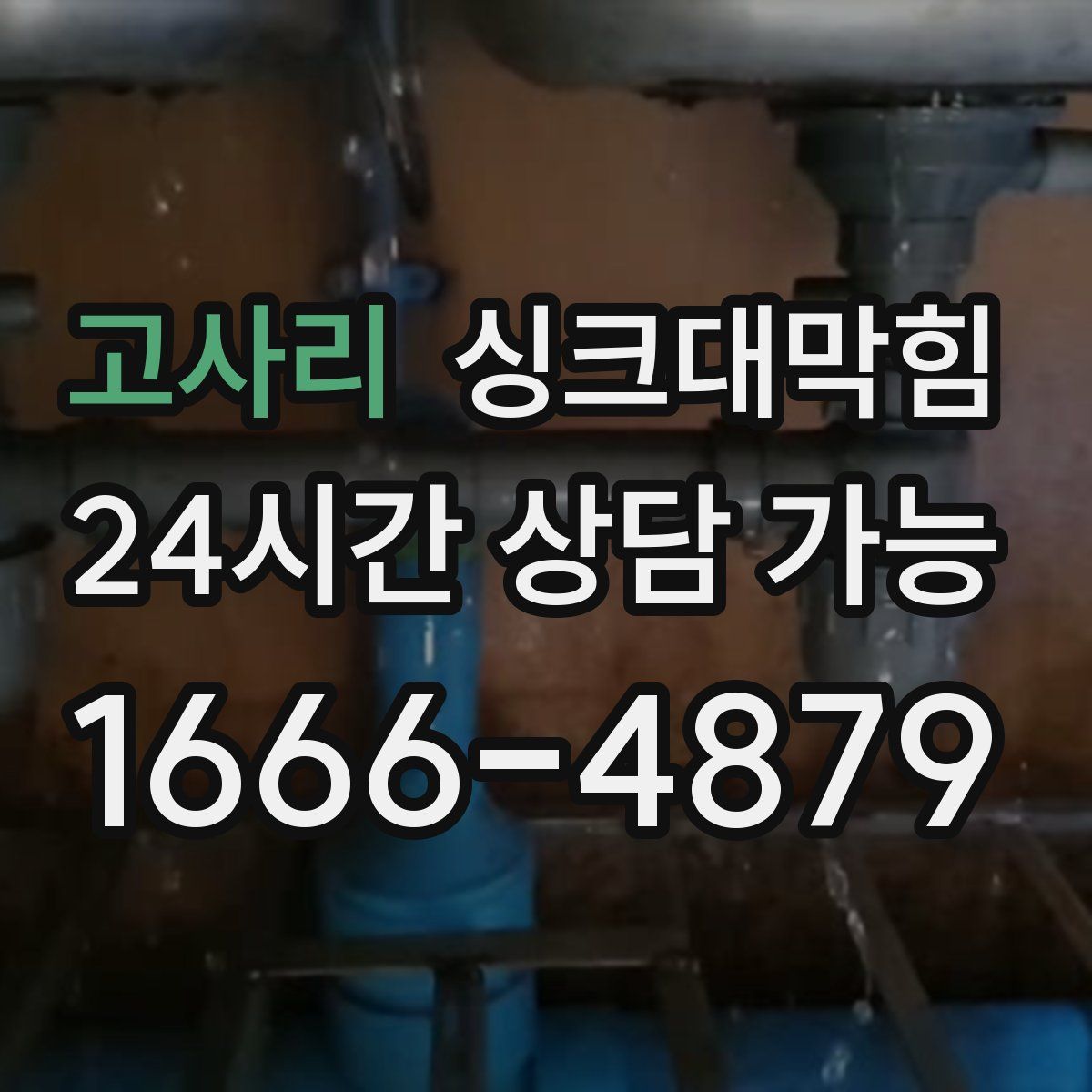 고사리 싱크대막힘