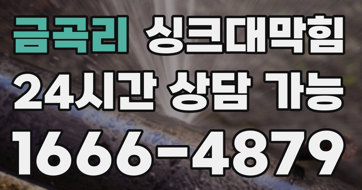 금곡리 싱크대 뚫기