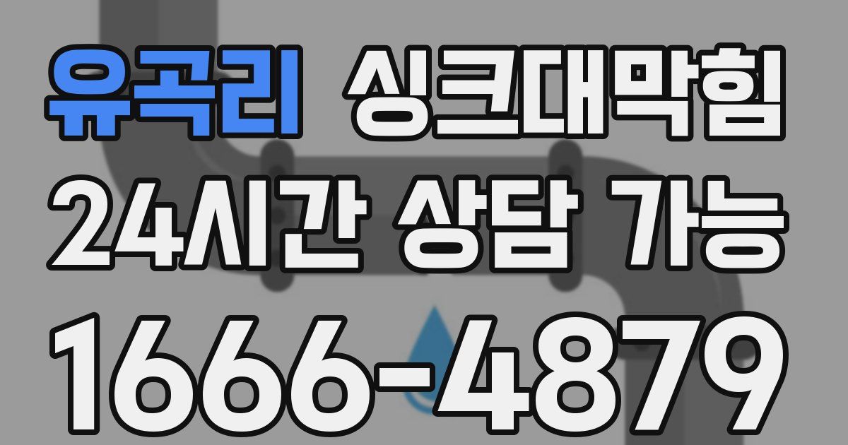 유곡리 싱크대 뚫기