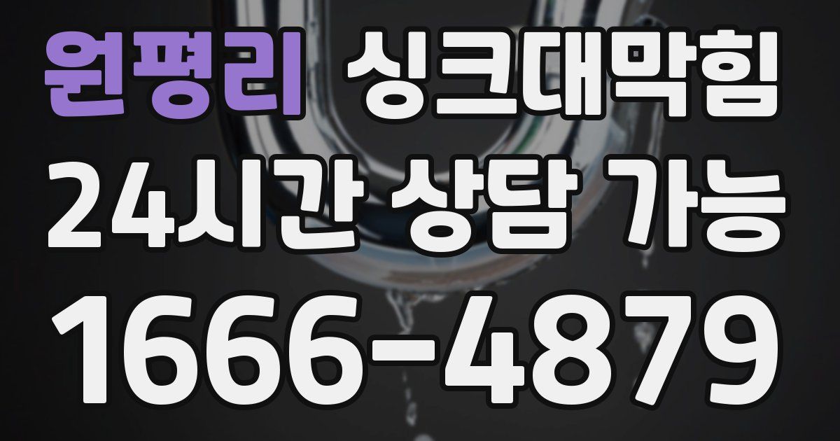 원평리 싱크대 뚫기