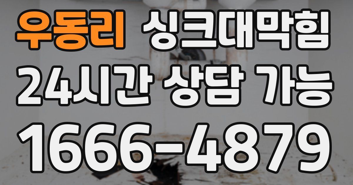 우동리 싱크대 뚫기