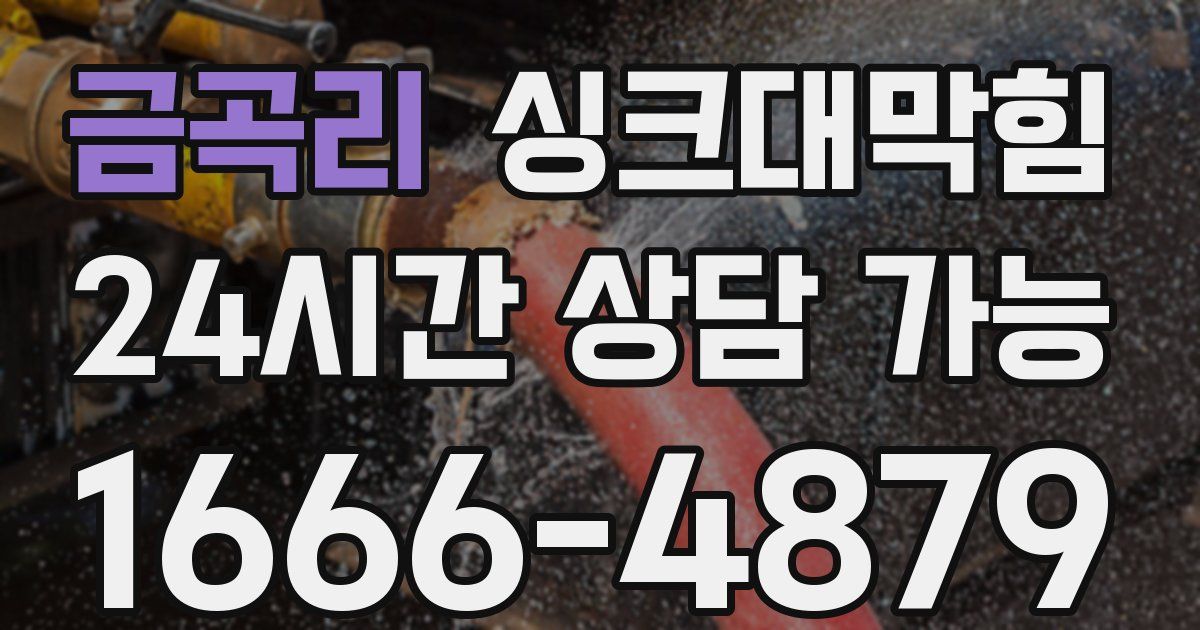 금곡리 싱크대 뚫기