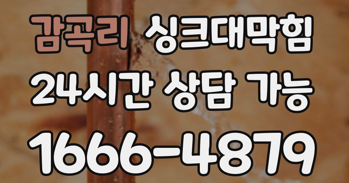 감곡리 싱크대 뚫기