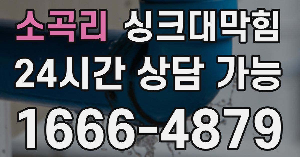 소곡리 싱크대 뚫기