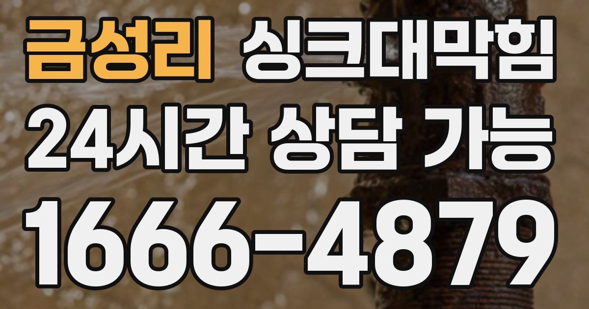 금성리 싱크대 뚫기