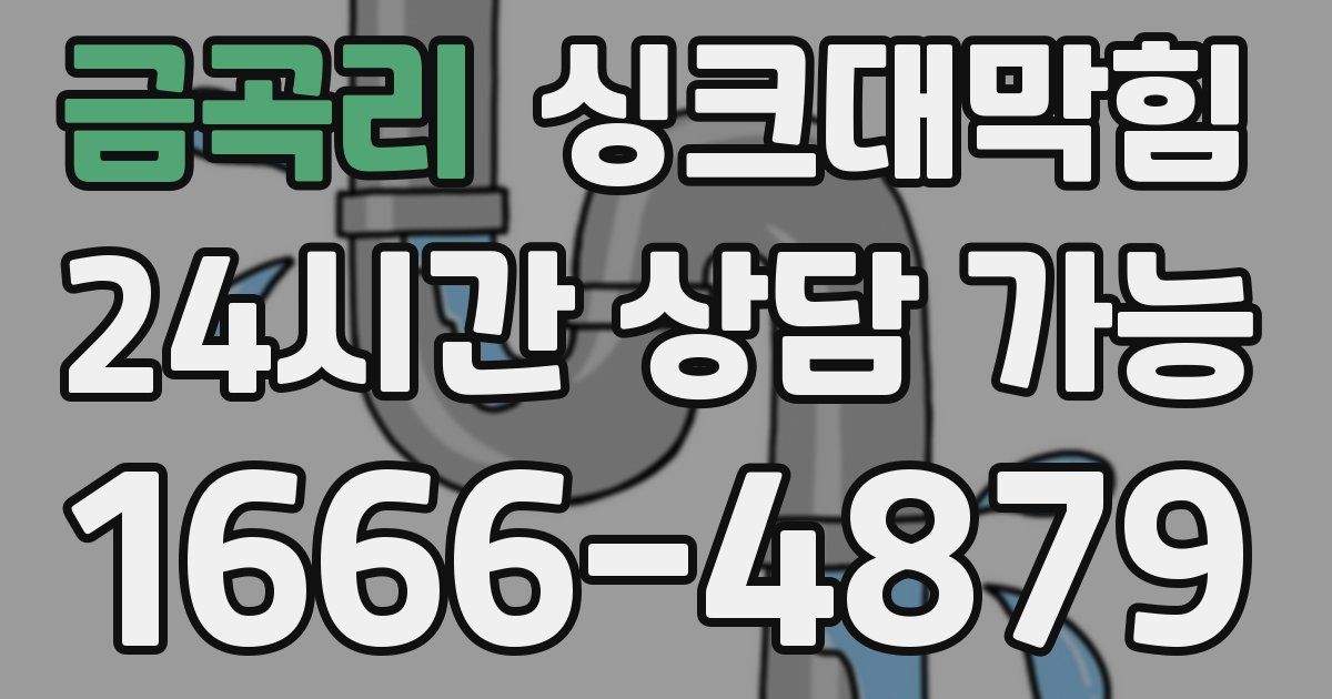 금곡리 싱크대 뚫기