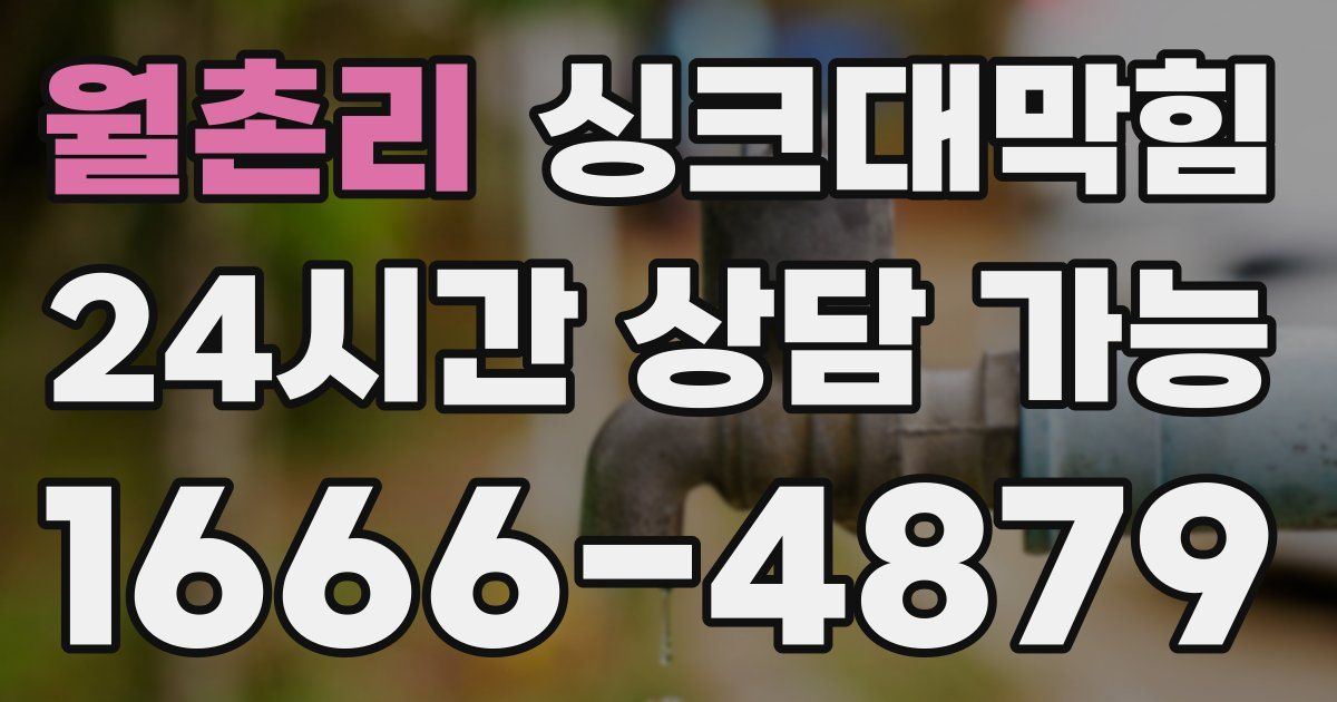 월촌리 싱크대 뚫기