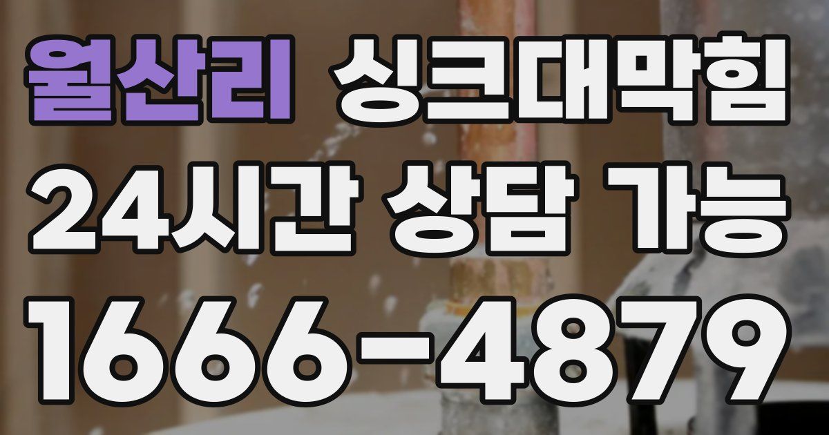 월산리 싱크대 뚫기