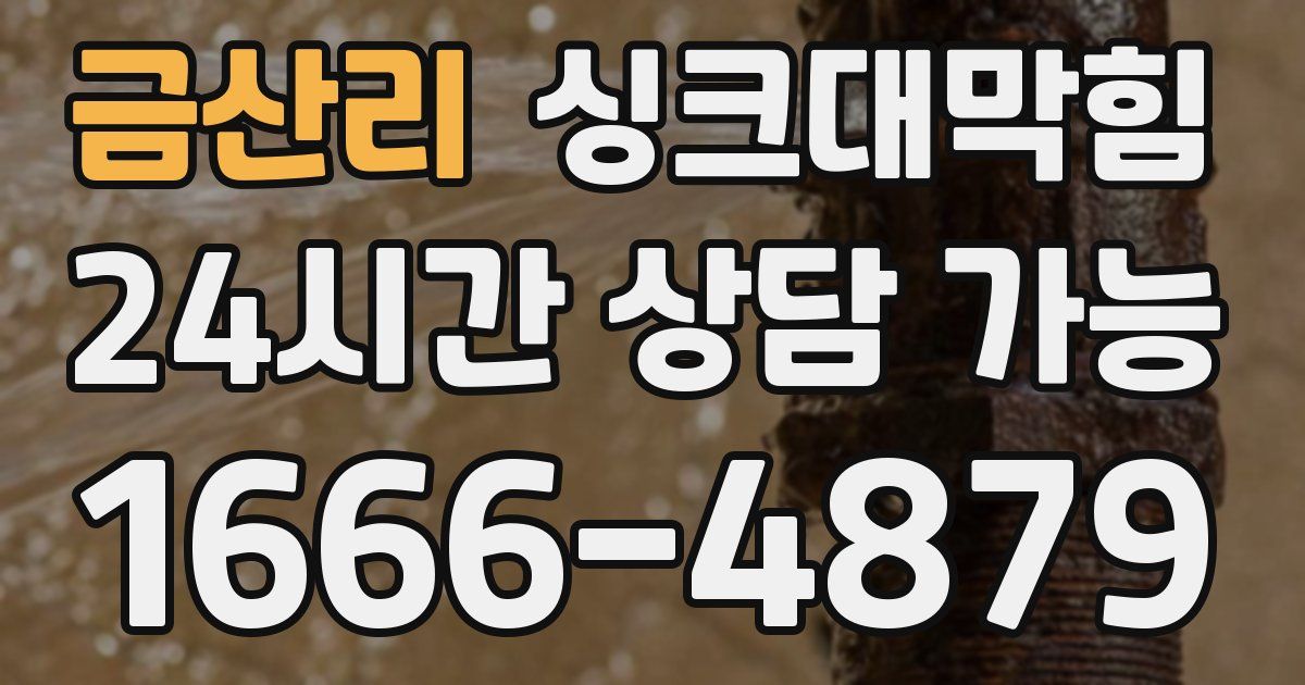 금산리 싱크대 뚫기