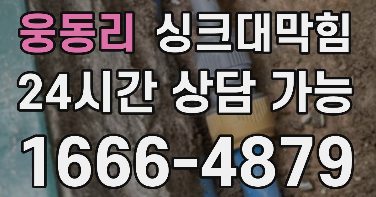웅동리 싱크대 뚫기