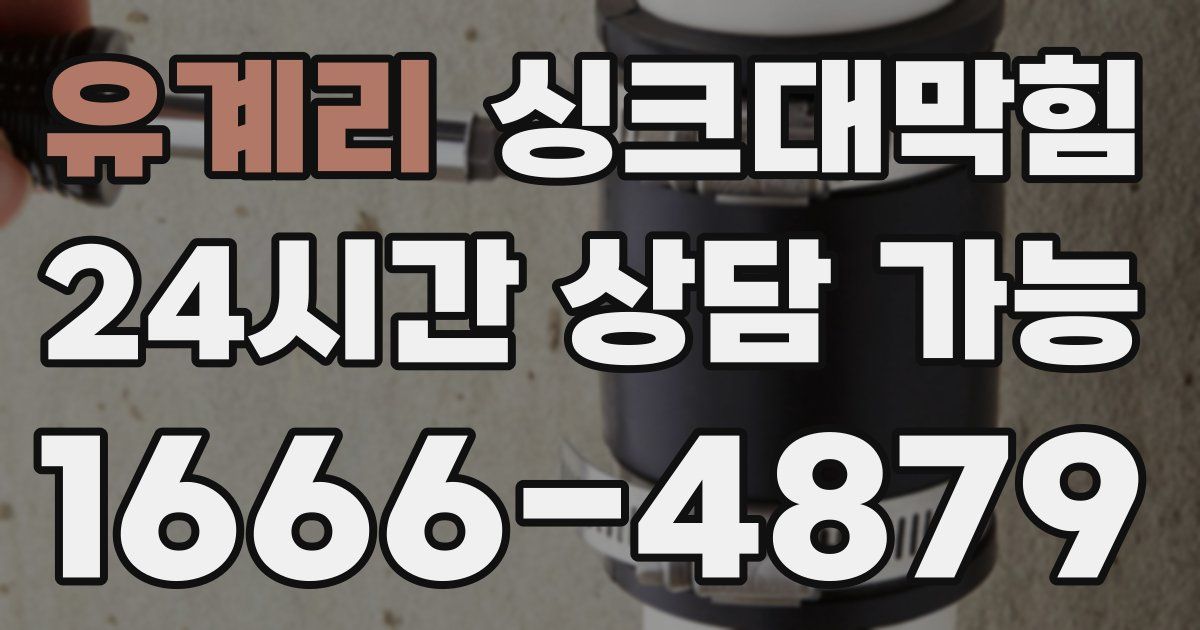 유계리 싱크대 뚫기