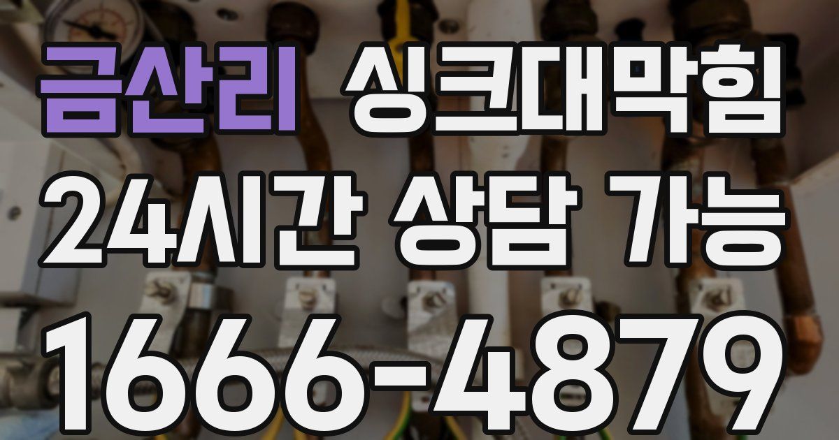 금산리 싱크대 뚫기