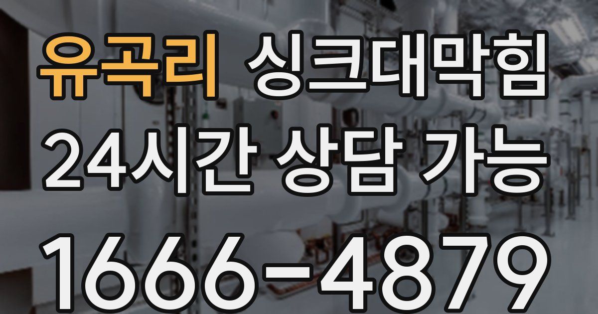 유곡리 싱크대 뚫기