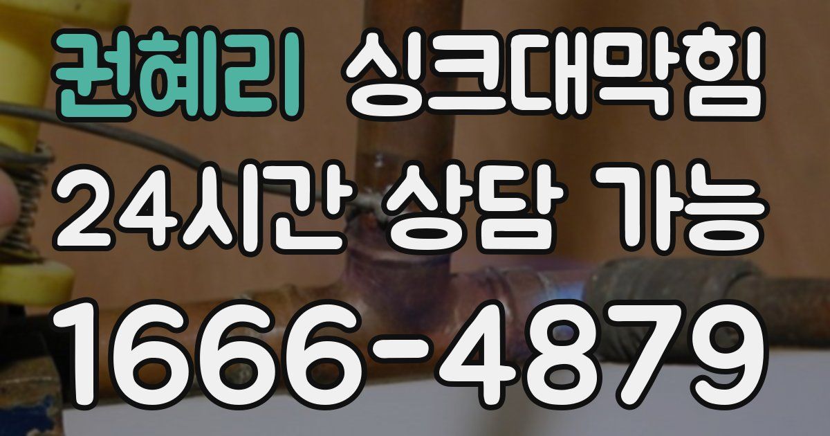 권혜리 싱크대 뚫기