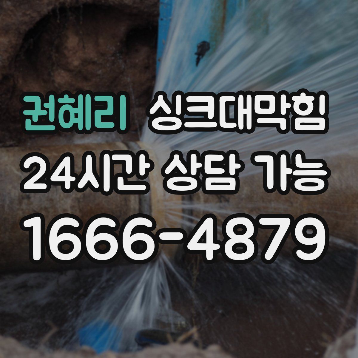 권혜리 싱크대막힘