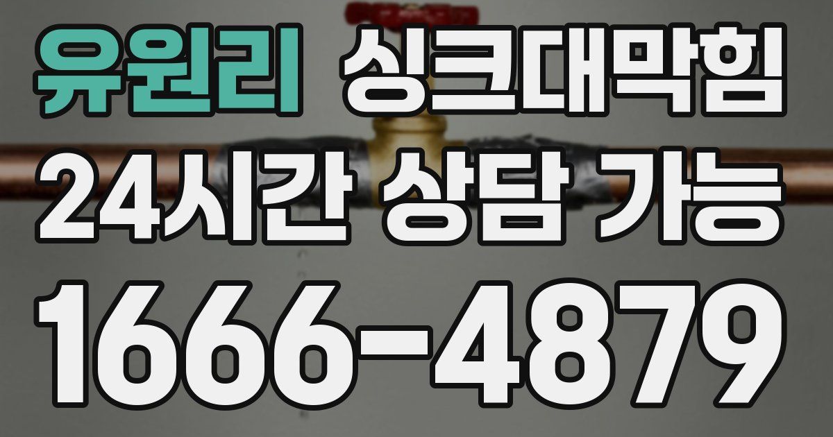 유원리 싱크대 뚫기
