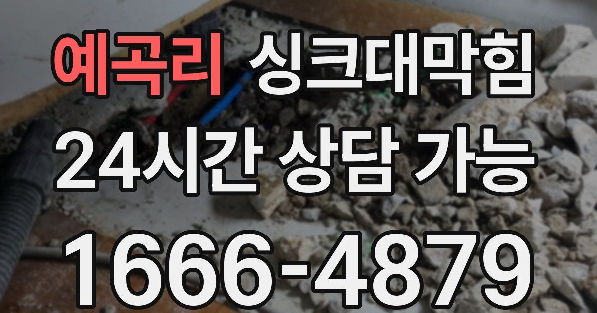 예곡리 싱크대 뚫기