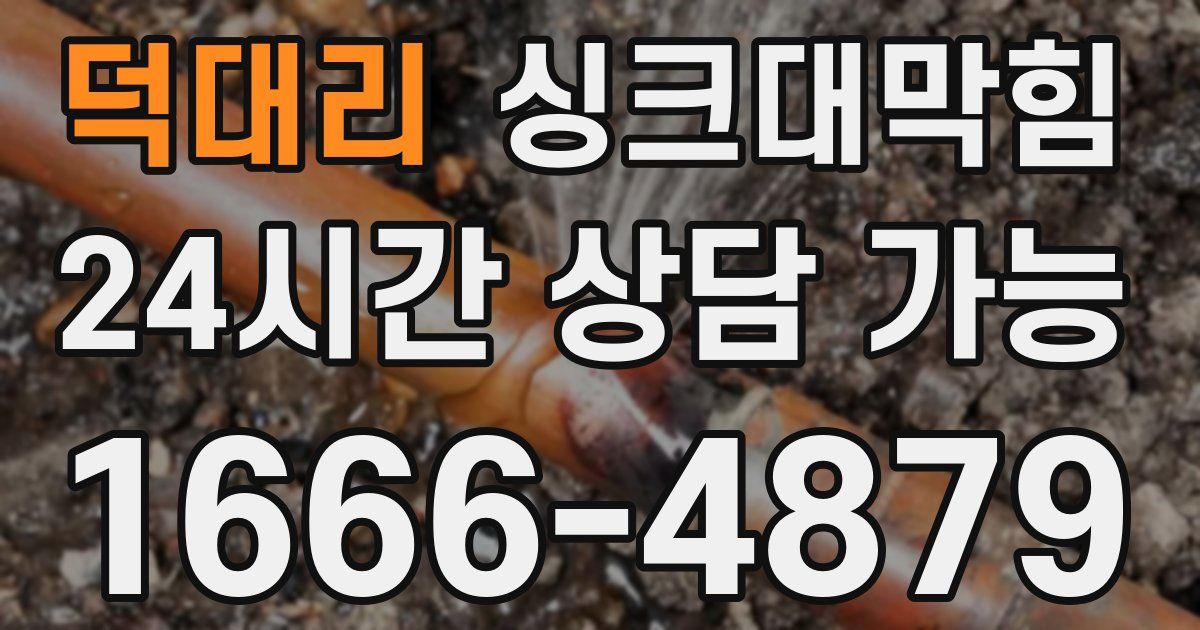 덕대리 싱크대 뚫기