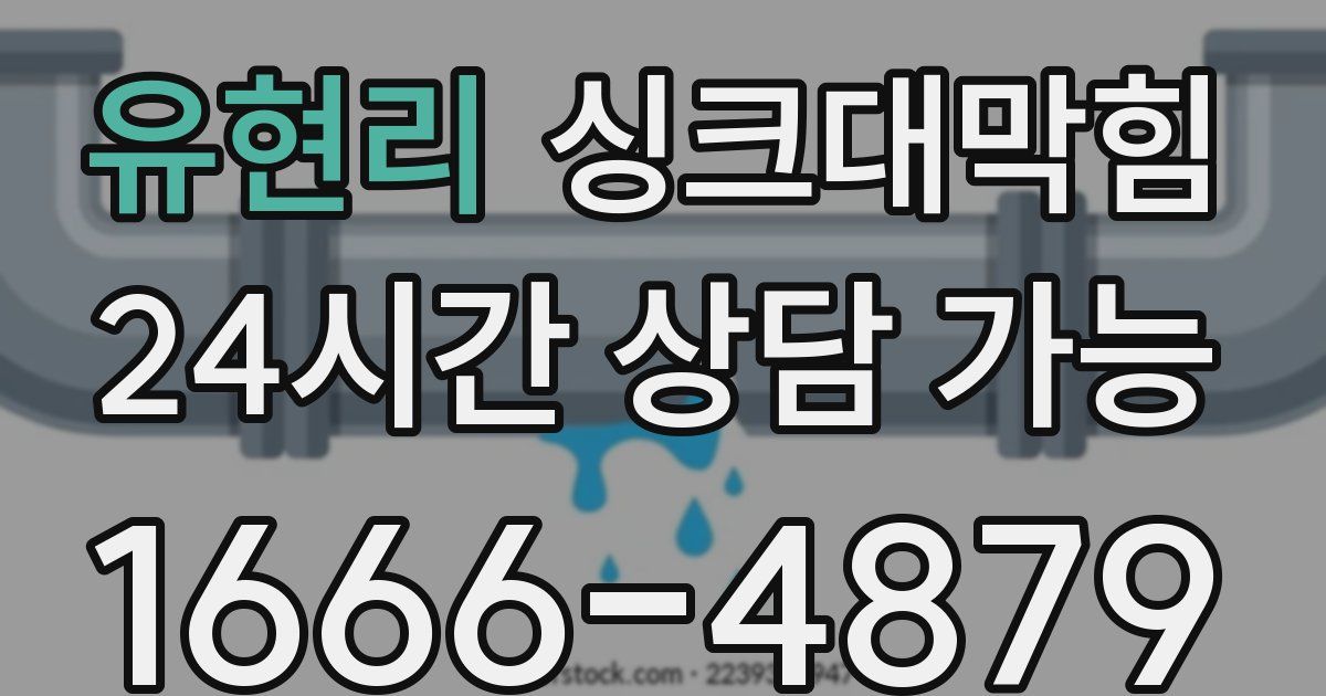 유현리 싱크대 뚫기