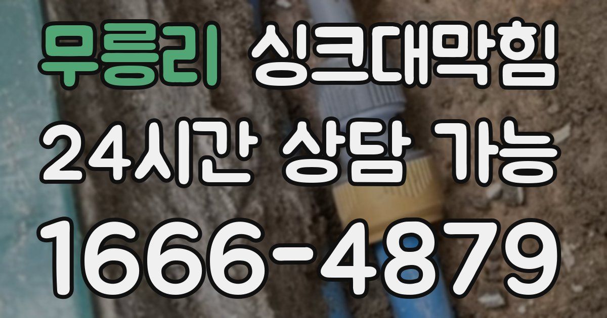무릉리 싱크대 뚫기