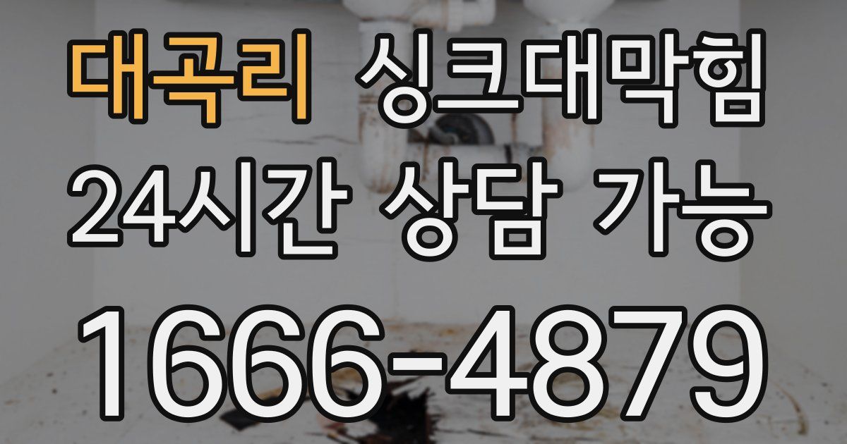 대곡리 싱크대 뚫기