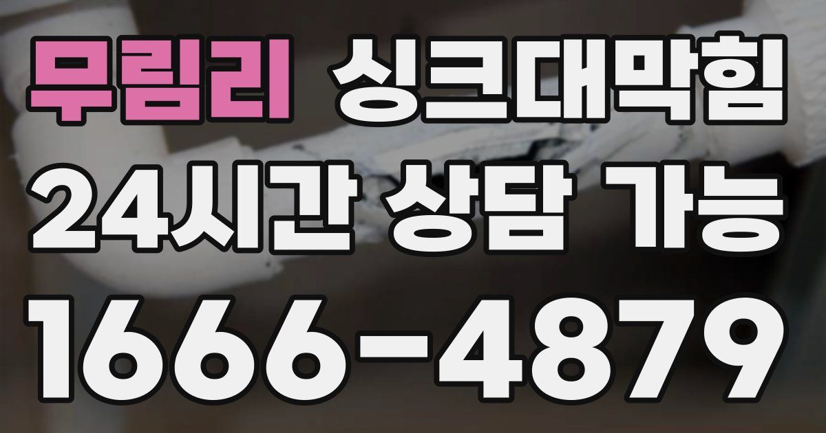 무림리 싱크대 뚫기