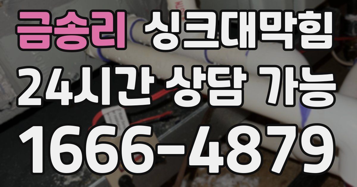 금송리 싱크대 뚫기