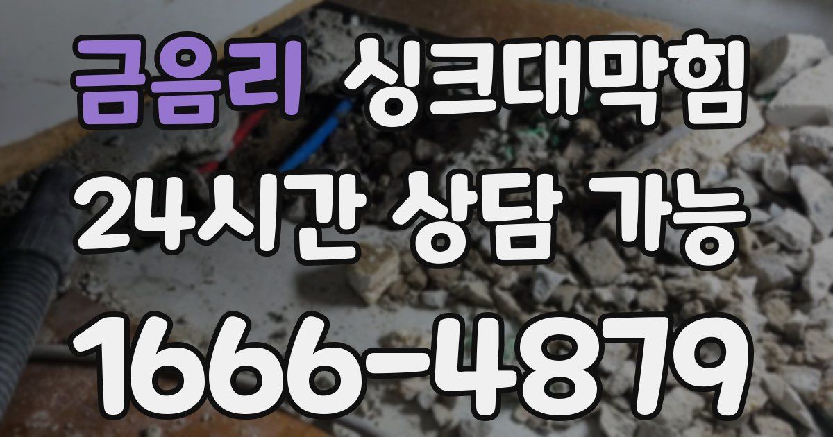 금음리 싱크대 뚫기