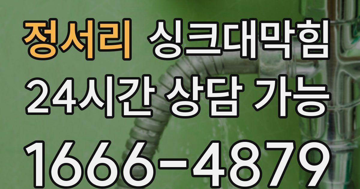 정서리 싱크대 뚫기