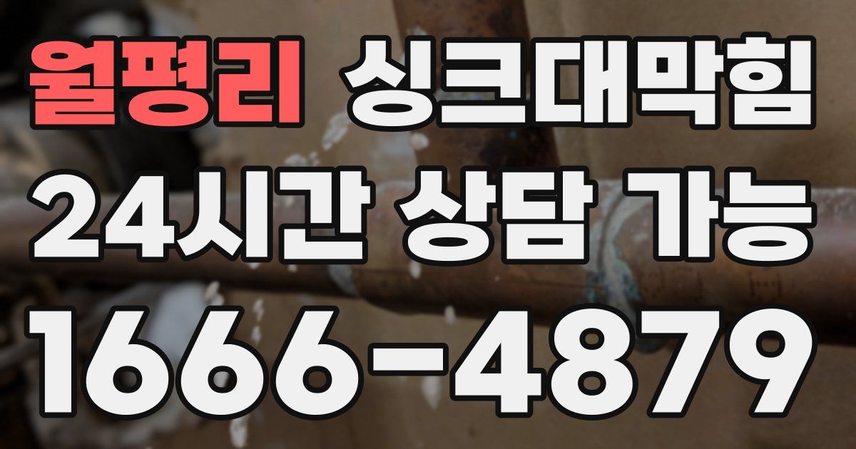 월평리 싱크대 뚫기