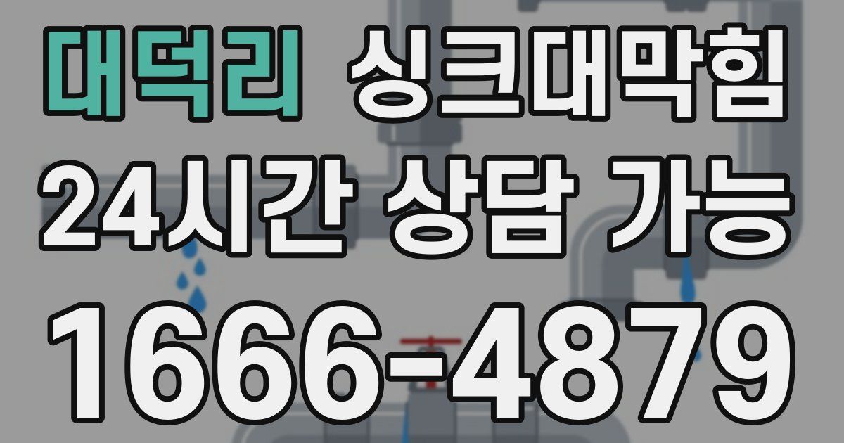 대덕리 싱크대 뚫기